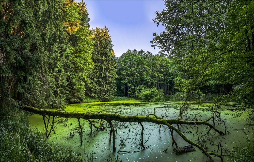 Foto tytułowe